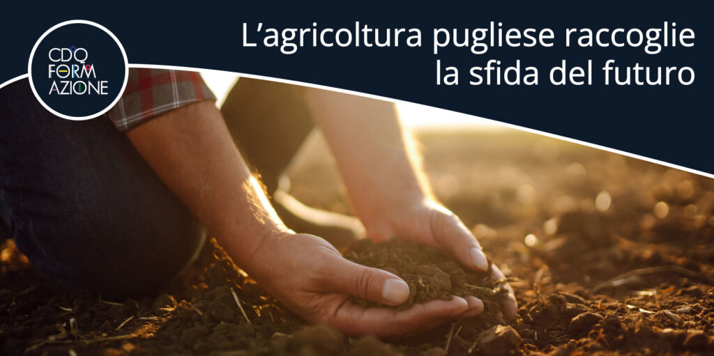 L’agricoltura pugliese raccoglie la sfida del futuro